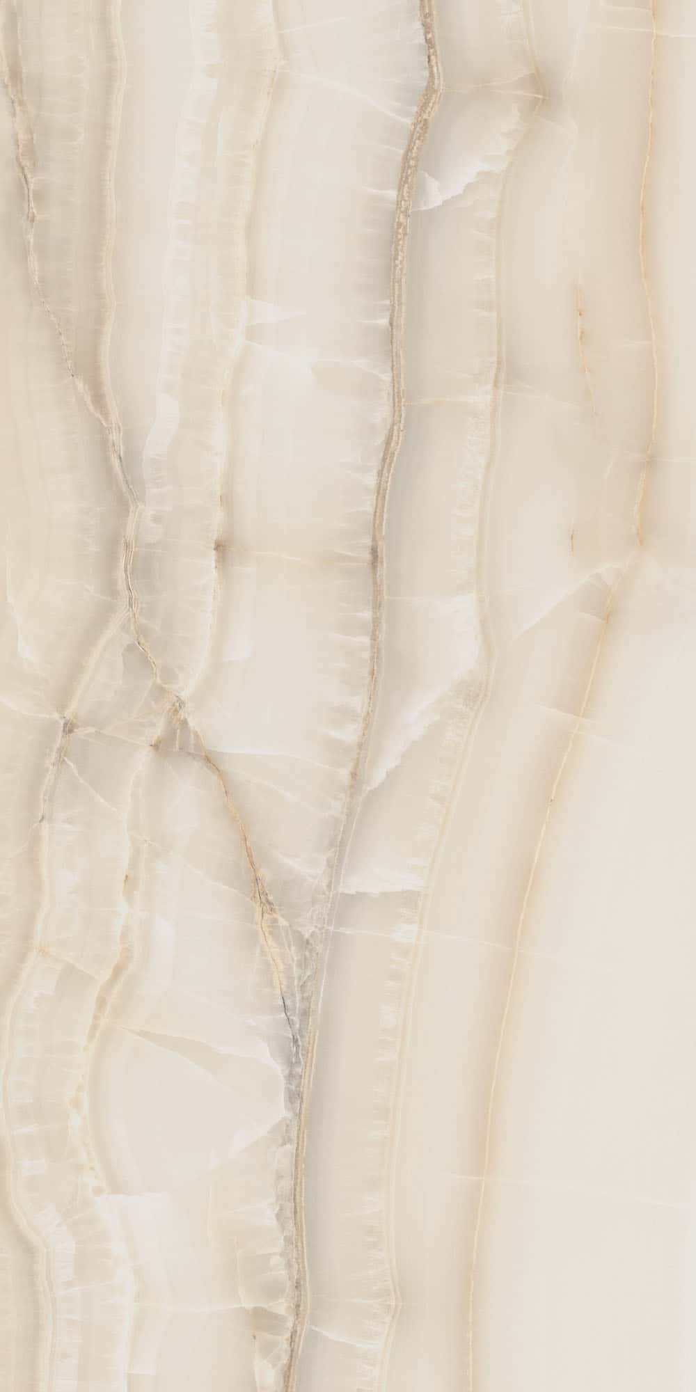 Sant' Agostino - Akoya Ivory