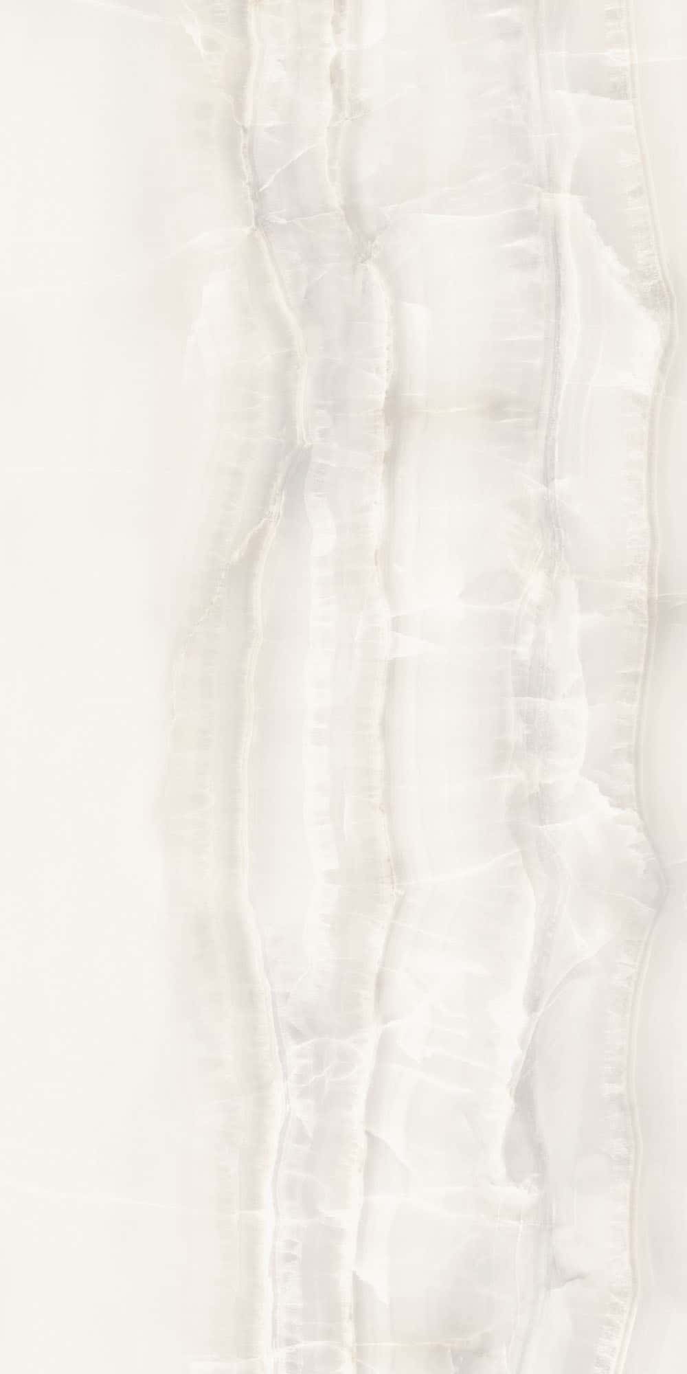 Sant' Agostino - Akoya White