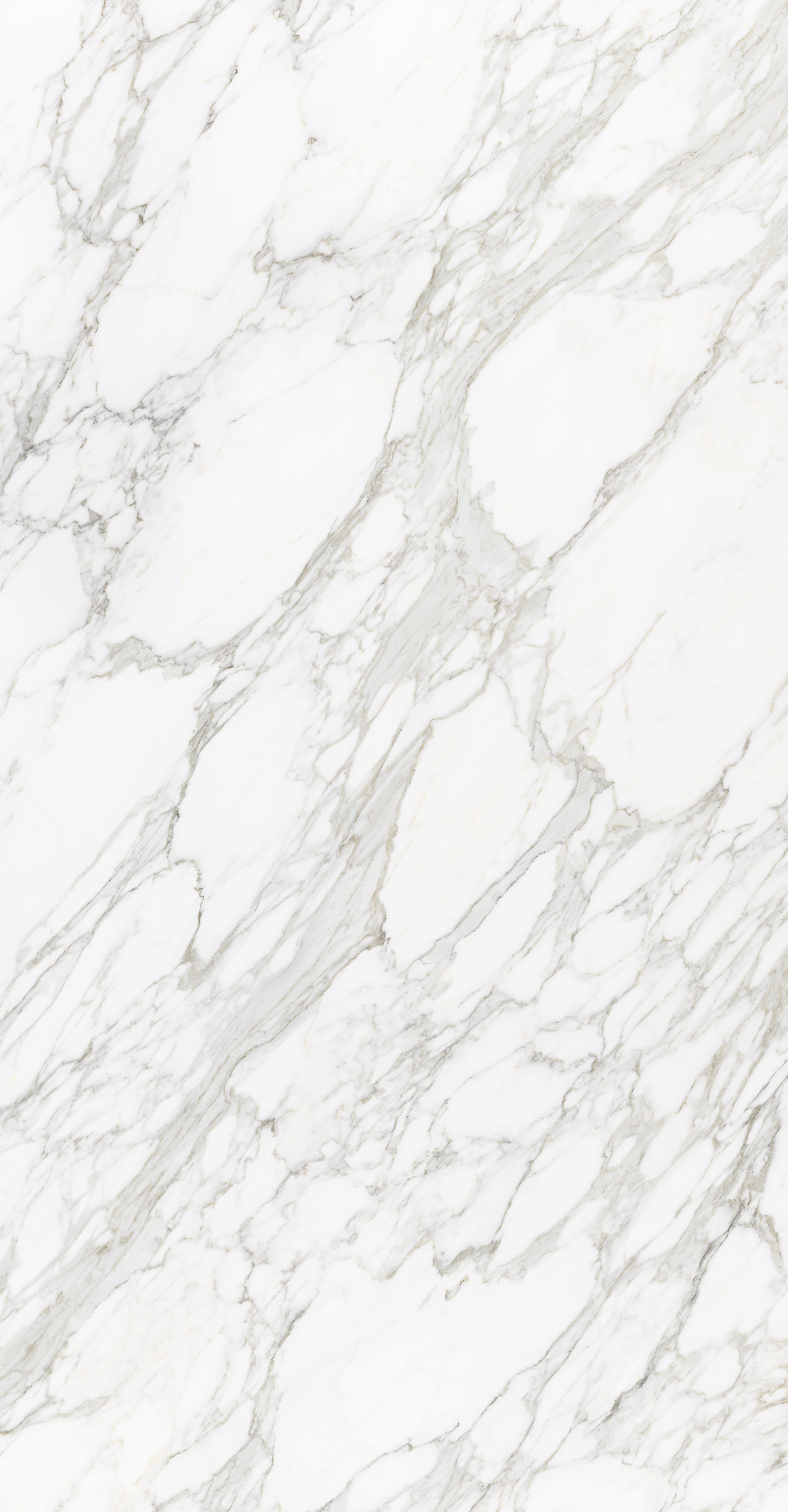 Neolith - Classtone Calacatta Royale