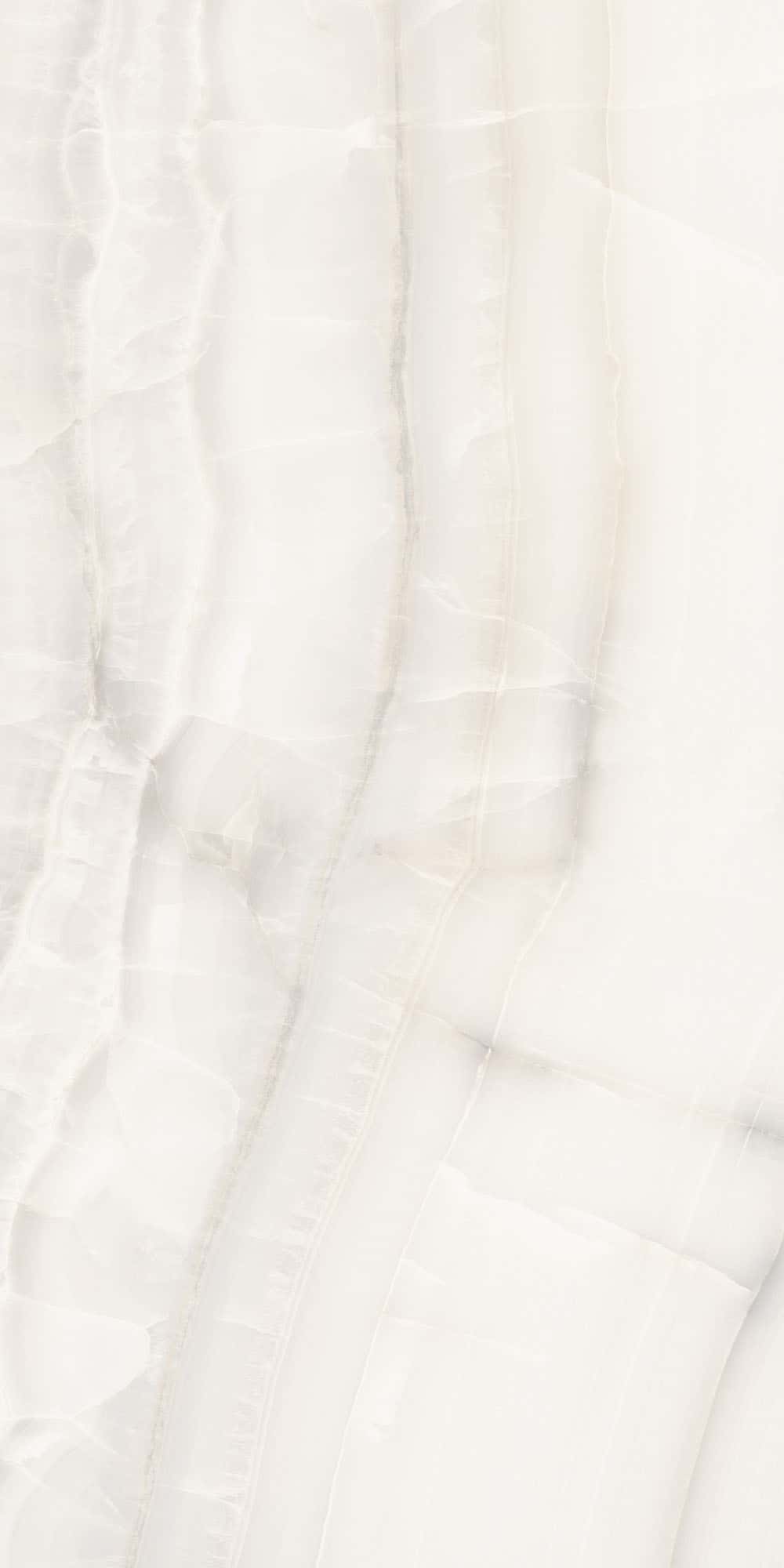 Sant' Agostino - Akoya White
