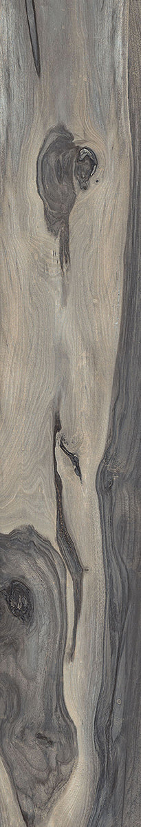 La Fabbrica - Kauri Fiordland