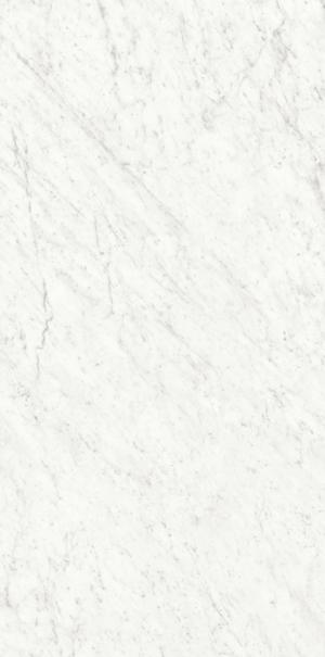 Ariostea - Marmi Classici Bianco Carrara