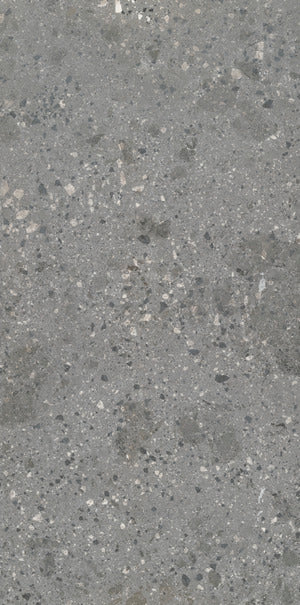 Ariostea - Fragmenta Full Body Grigio Milano