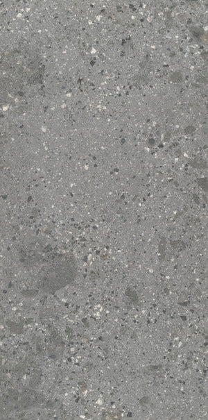 Ariostea - Fragmenta Full Body Grigio Milano