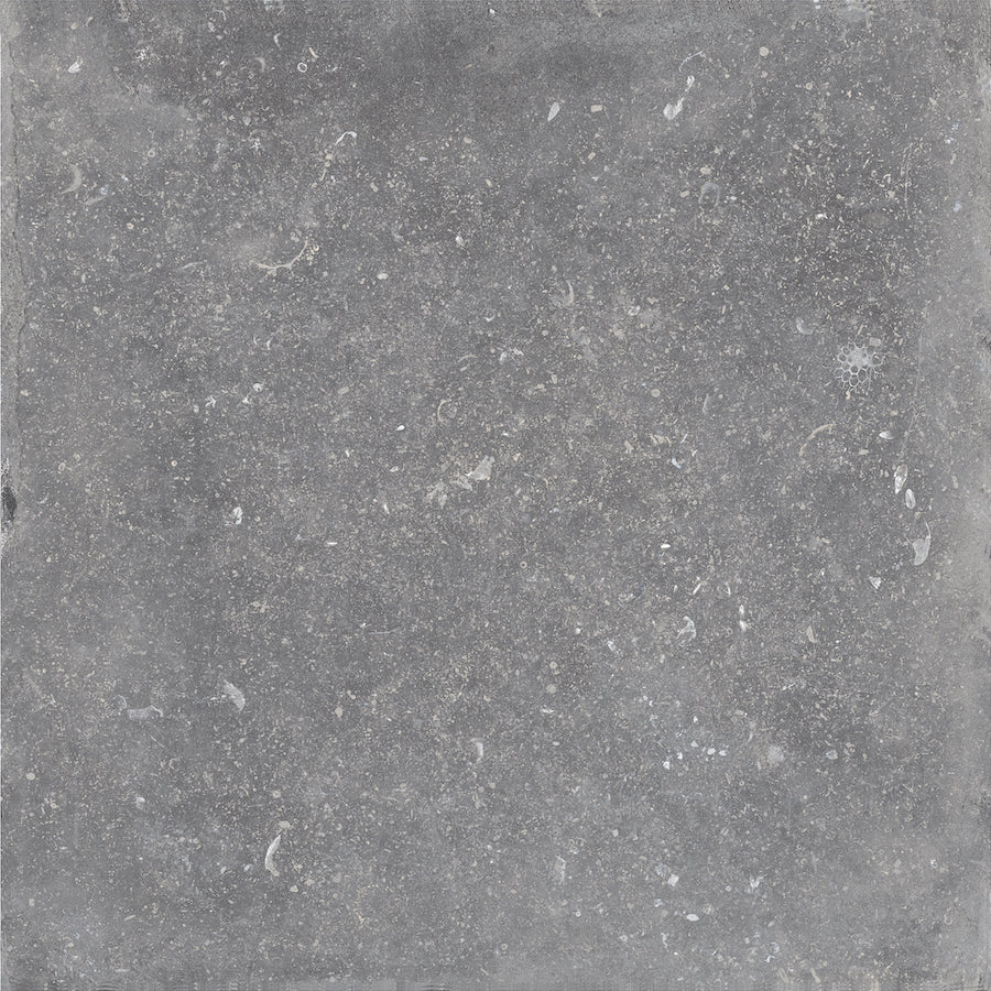 Kronos - Evolution Evo Gris Fonce