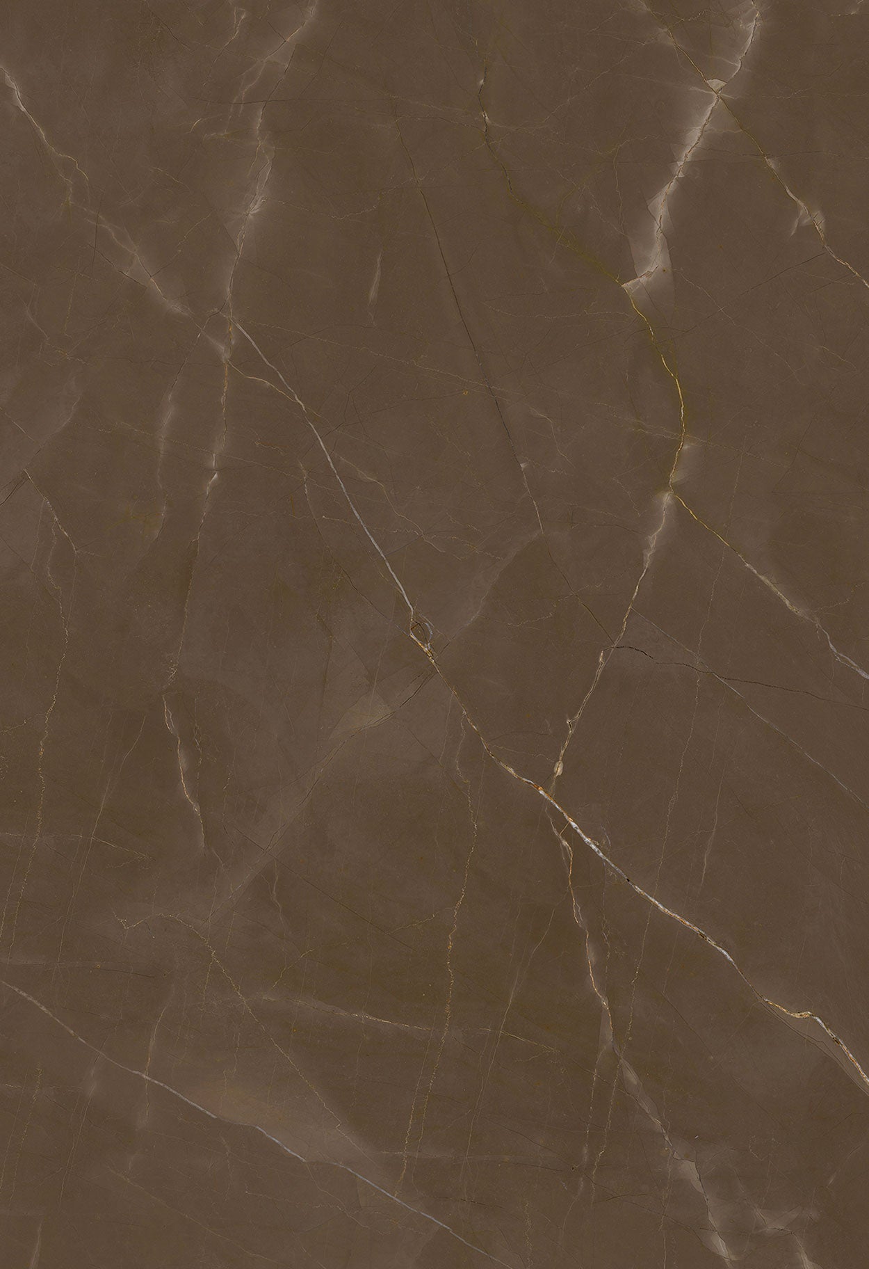 Neolith - Classtone Pulpis