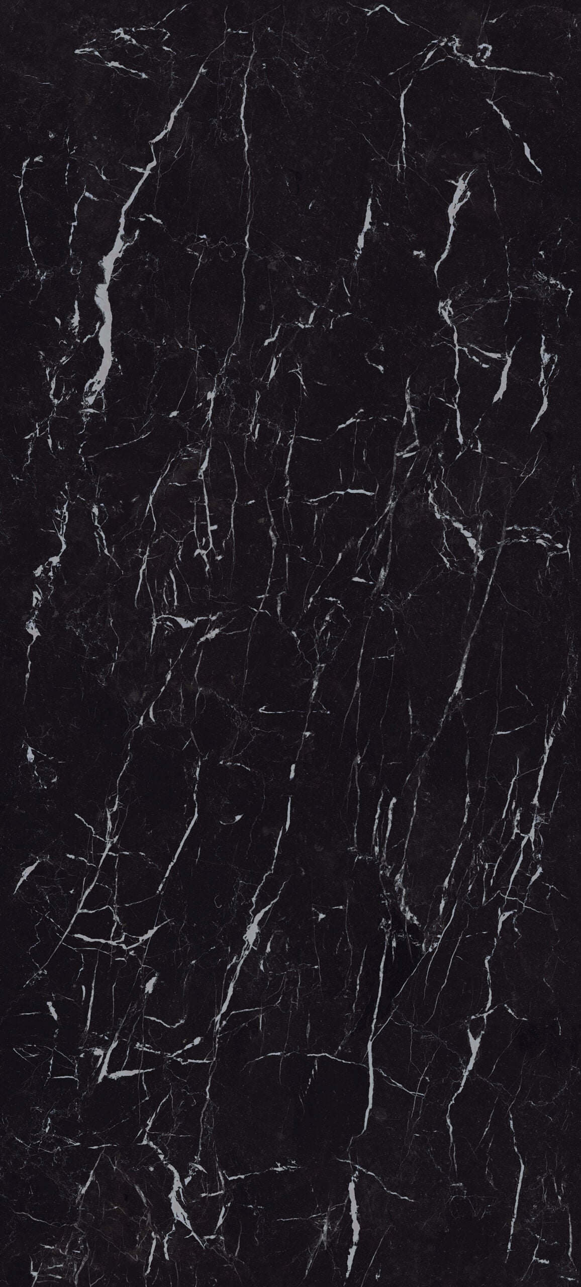 Tagina - Marquina